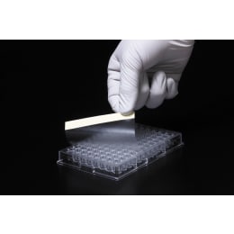 板密封TPET粘合密封灭菌100片