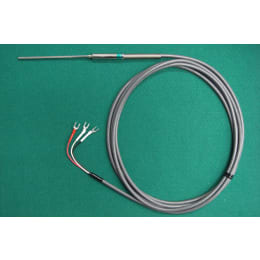R35型Pt100Ω铂测温电阻体3.2×200L3m