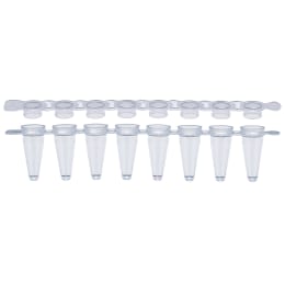 0.1mL PCR8连管+8连平帽组137-538C120入