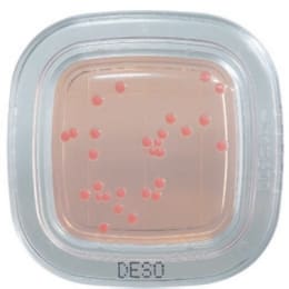 平片®DD20片去氧涂层培养基PD0003 20入