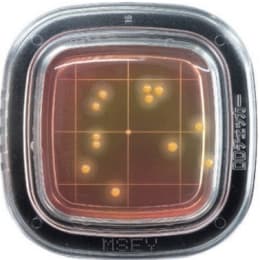 平片®DD 20片MSEY琼脂培养基PD0009 20片